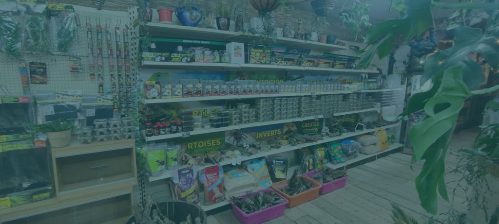 Dry pet food shelves